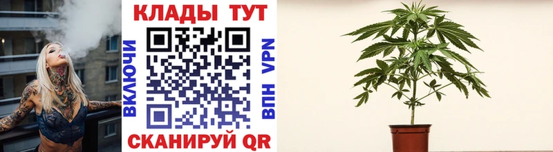 ГАШ Томмот