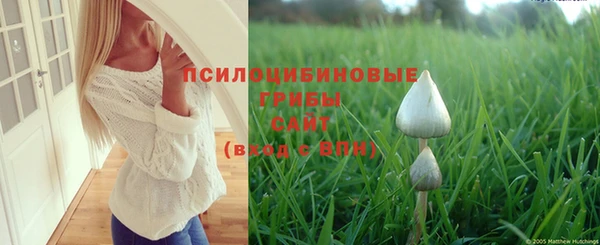 ешки Балахна