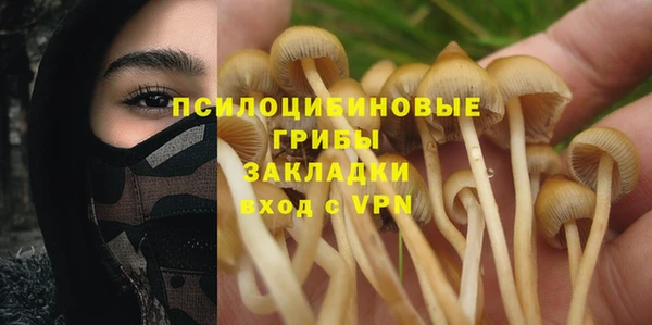 мяу мяу мука Балабаново