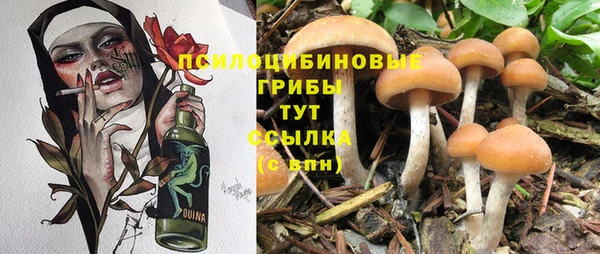 ешки Балахна