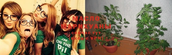 амф Кулебаки